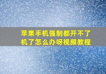 苹果手机强制都开不了机了怎么办呀视频教程