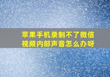 苹果手机录制不了微信视频内部声音怎么办呀