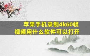 苹果手机录制4k60帧视频用什么软件可以打开