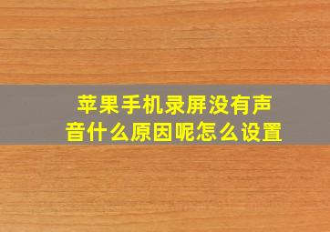 苹果手机录屏没有声音什么原因呢怎么设置