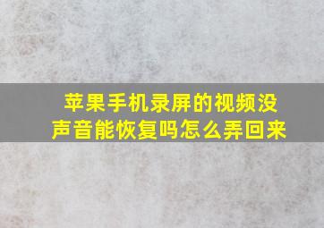 苹果手机录屏的视频没声音能恢复吗怎么弄回来