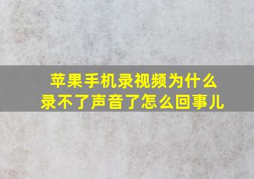 苹果手机录视频为什么录不了声音了怎么回事儿