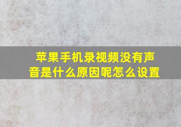 苹果手机录视频没有声音是什么原因呢怎么设置