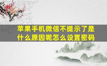 苹果手机微信不提示了是什么原因呢怎么设置密码