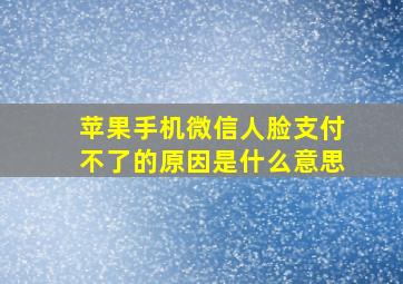 苹果手机微信人脸支付不了的原因是什么意思