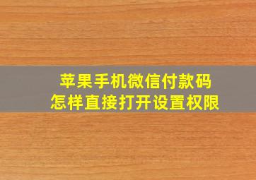 苹果手机微信付款码怎样直接打开设置权限