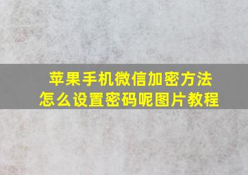 苹果手机微信加密方法怎么设置密码呢图片教程