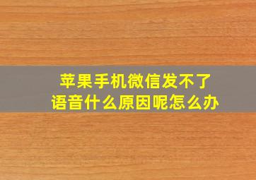 苹果手机微信发不了语音什么原因呢怎么办