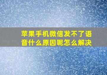 苹果手机微信发不了语音什么原因呢怎么解决