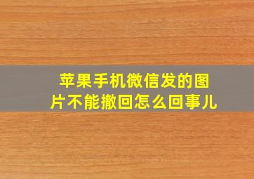 苹果手机微信发的图片不能撤回怎么回事儿