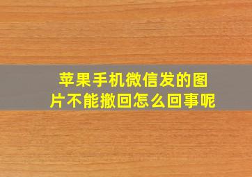 苹果手机微信发的图片不能撤回怎么回事呢