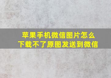 苹果手机微信图片怎么下载不了原图发送到微信