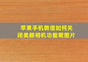 苹果手机微信如何关闭美颜相机功能呢图片