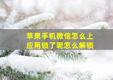 苹果手机微信怎么上应用锁了呢怎么解锁