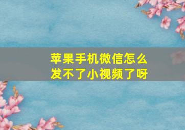 苹果手机微信怎么发不了小视频了呀