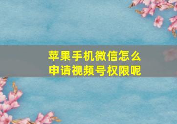 苹果手机微信怎么申请视频号权限呢