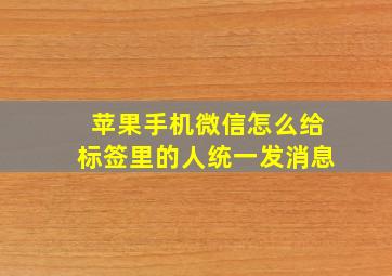 苹果手机微信怎么给标签里的人统一发消息