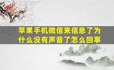 苹果手机微信来信息了为什么没有声音了怎么回事