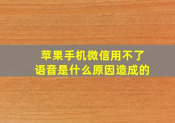 苹果手机微信用不了语音是什么原因造成的