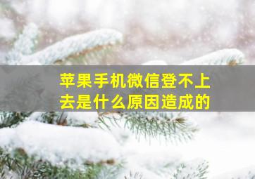 苹果手机微信登不上去是什么原因造成的