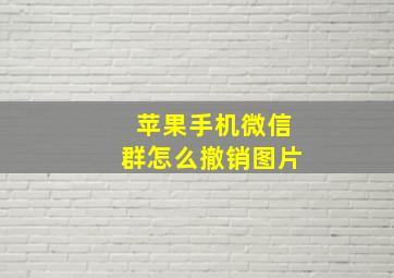 苹果手机微信群怎么撤销图片