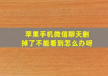 苹果手机微信聊天删掉了不能看到怎么办呀