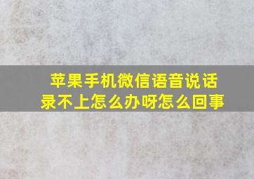 苹果手机微信语音说话录不上怎么办呀怎么回事