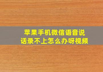 苹果手机微信语音说话录不上怎么办呀视频