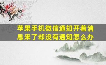 苹果手机微信通知开着消息来了却没有通知怎么办