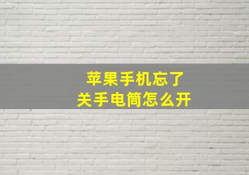 苹果手机忘了关手电筒怎么开