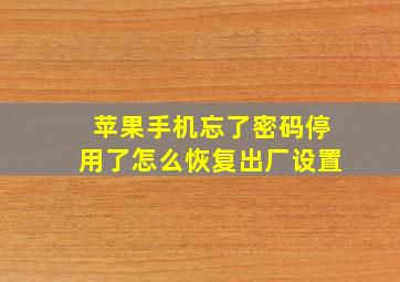 苹果手机忘了密码停用了怎么恢复出厂设置