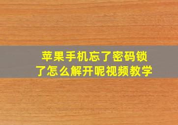 苹果手机忘了密码锁了怎么解开呢视频教学