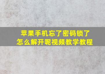 苹果手机忘了密码锁了怎么解开呢视频教学教程