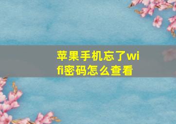 苹果手机忘了wifi密码怎么查看