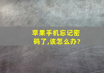 苹果手机忘记密码了,该怎么办?