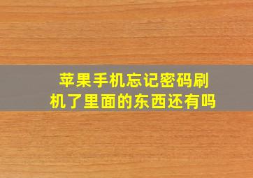 苹果手机忘记密码刷机了里面的东西还有吗