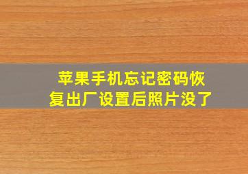 苹果手机忘记密码恢复出厂设置后照片没了