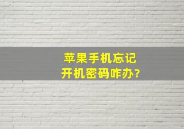 苹果手机忘记开机密码咋办?