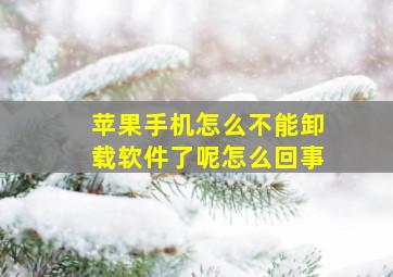 苹果手机怎么不能卸载软件了呢怎么回事