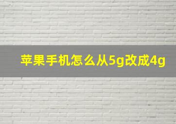 苹果手机怎么从5g改成4g