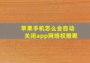 苹果手机怎么会自动关闭app网络权限呢