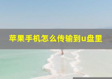 苹果手机怎么传输到u盘里