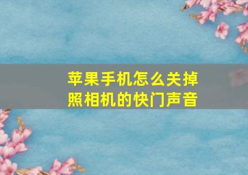 苹果手机怎么关掉照相机的快门声音