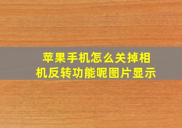 苹果手机怎么关掉相机反转功能呢图片显示