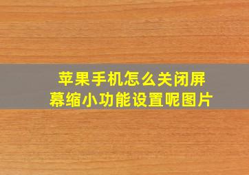 苹果手机怎么关闭屏幕缩小功能设置呢图片