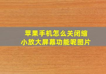 苹果手机怎么关闭缩小放大屏幕功能呢图片