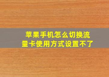 苹果手机怎么切换流量卡使用方式设置不了