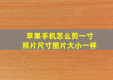 苹果手机怎么剪一寸照片尺寸图片大小一样