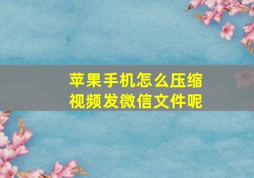 苹果手机怎么压缩视频发微信文件呢