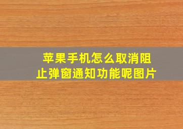 苹果手机怎么取消阻止弹窗通知功能呢图片